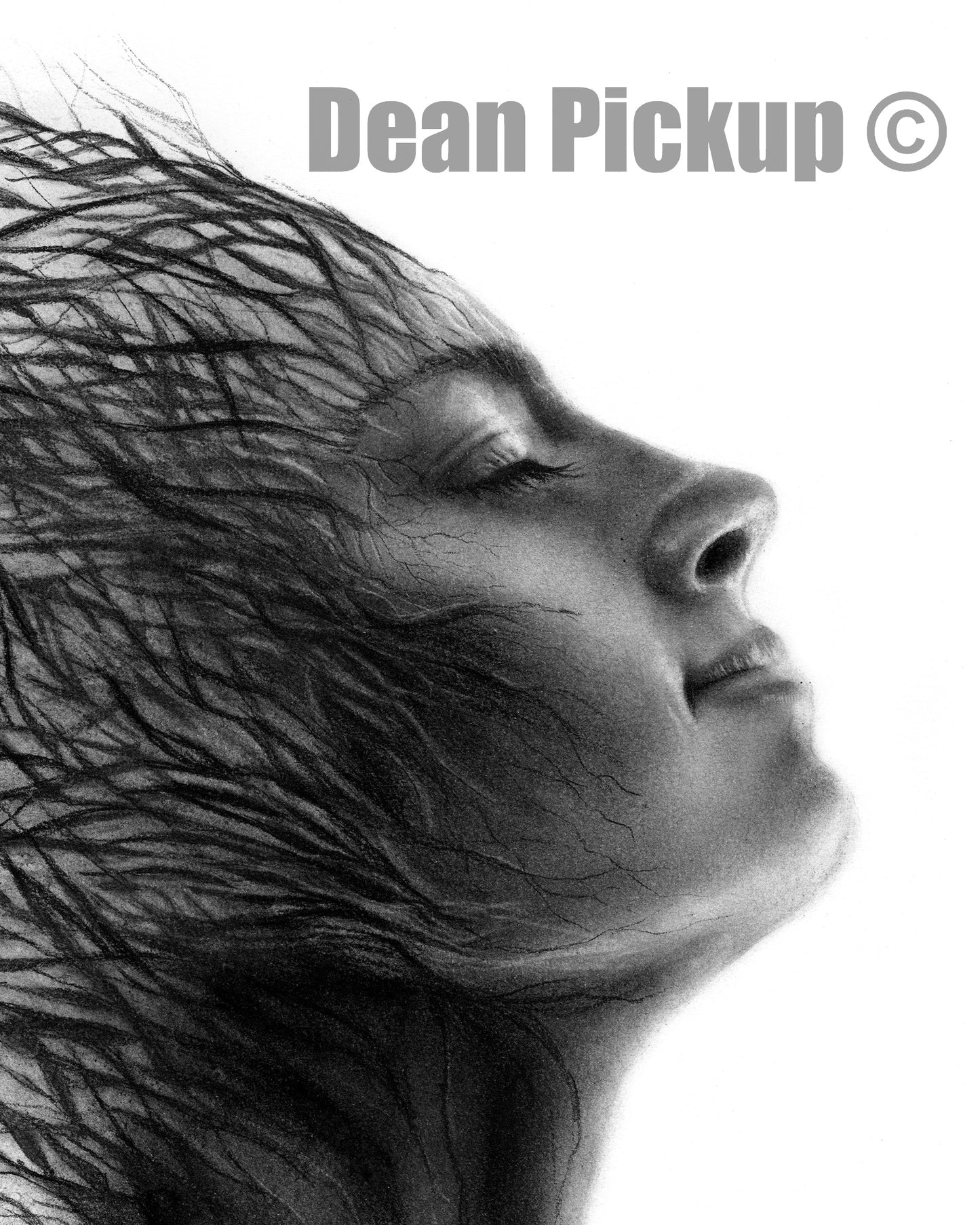 Finding Light, Series - 11"x14" Fine Art Prints