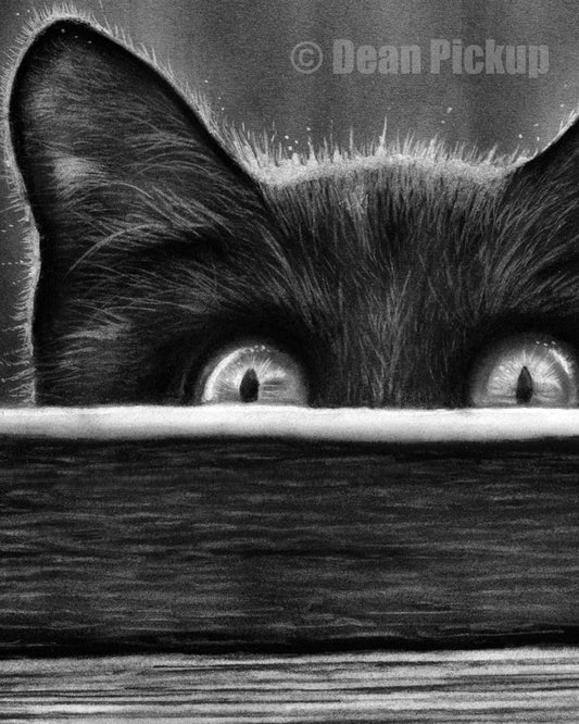 Never Alone, Cat Fine Art Print - 11"x14"