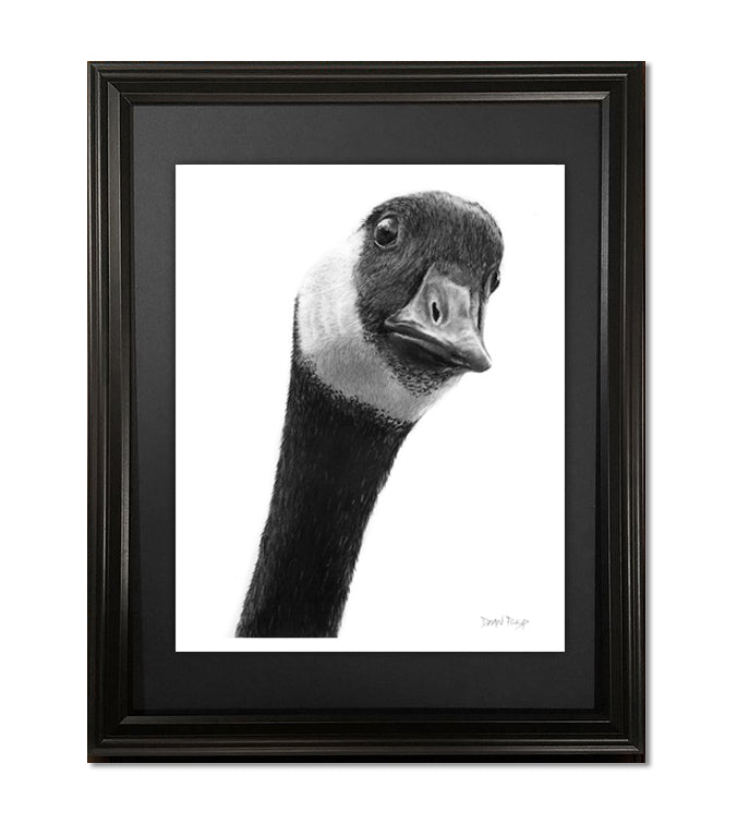 Oh Canada!, Fine Art Print - 11"x14"