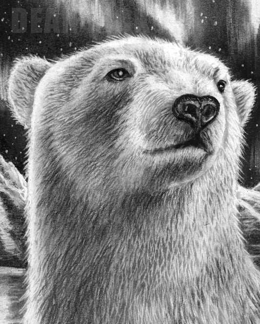 Stamped in Memory: The Polar Bear, Fine Art Print - 11"x14"