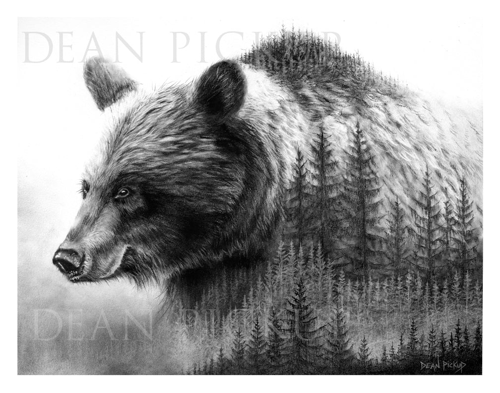 Untamed Fine Art Print Bundle