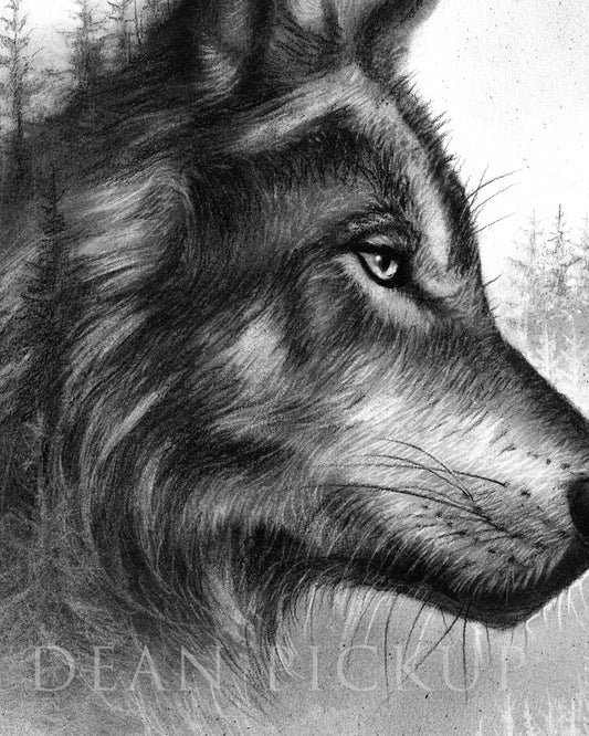 detail of "untamed" art print