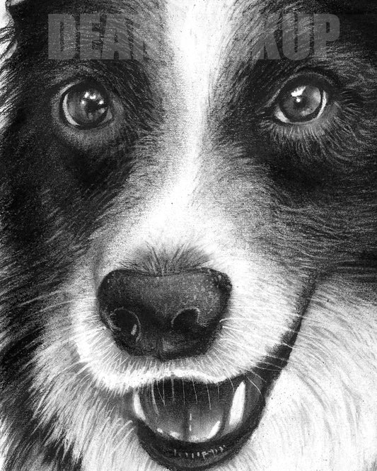 King Of The Herd, Fine Art Print - 11"x14"