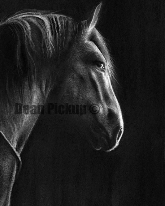 Awaiting, Fine Art Print - 13"x16"