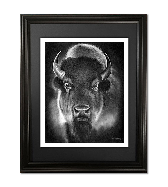 Vanishing, (Limited) Fine Art Bison Print - 13"x16"