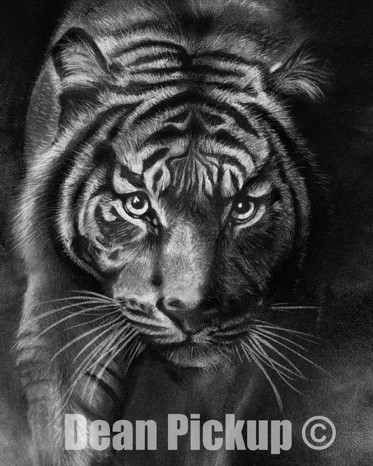 Emerge, Fine Art Tiger Print - 13"x16"