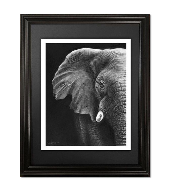 Elephant in the Room, Fine Art Print - 13"x16"