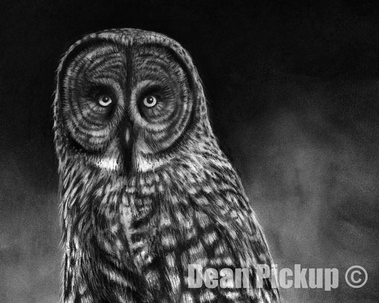 "Grey Ghost" detail of fine art print by Dean Pickup Art