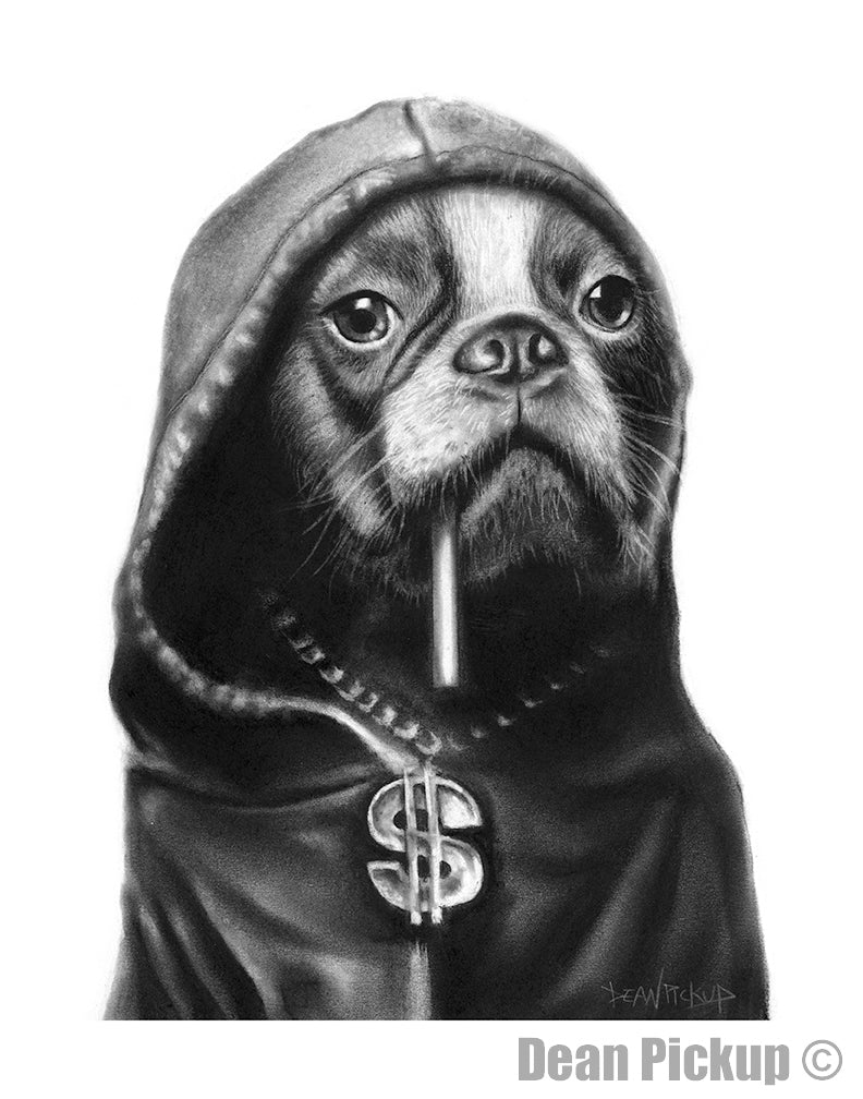Boston Terrier Hoodlum drawn by Dean Pickup . Art prints for sale