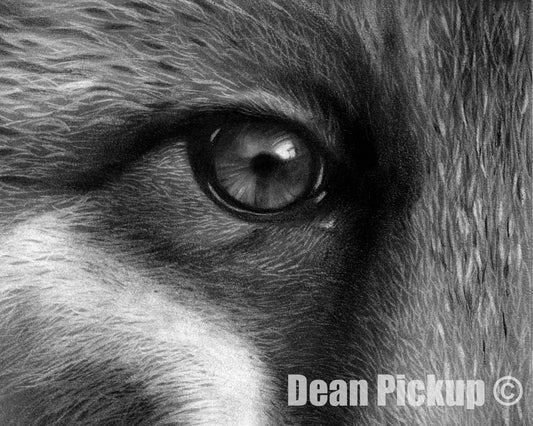 Mischief, Fox Fine Art Print - 13"x16"