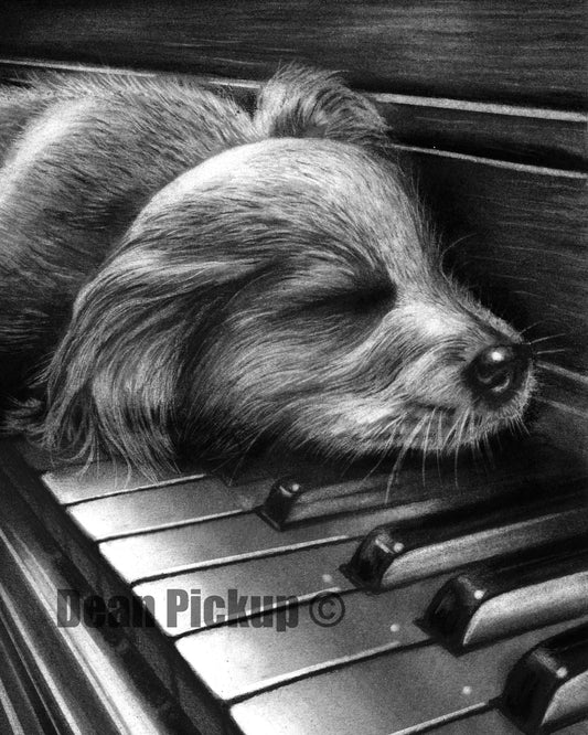 Played Out, Fine Art Print - 13"x16"