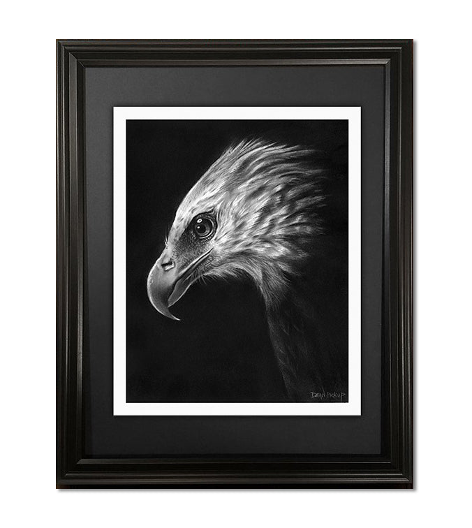 Patience, Bald Eagle Fine Art Print - 13"x16"