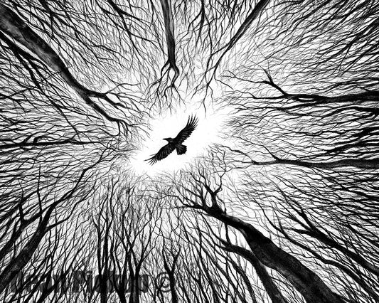 Detail of "The Clearing" fine art print for sale by Dean Pickup Art