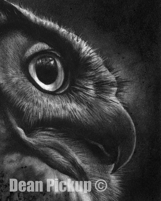 The Hunter, Great Horned Owl Fine Art Print - 13"x16"