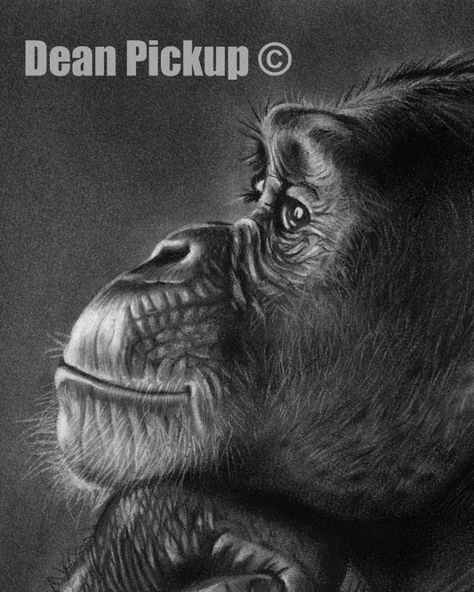 The Thinker, Fine Art Print - 13"x16"