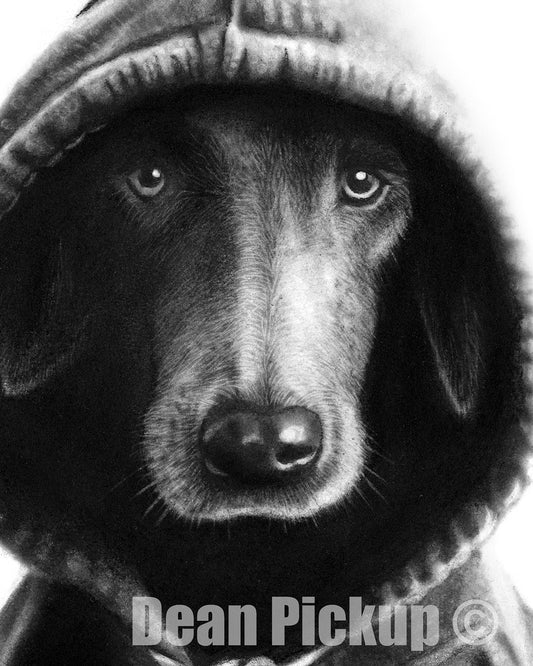 Detail of Underdog, fine art print for sale by Dean Pickup Art