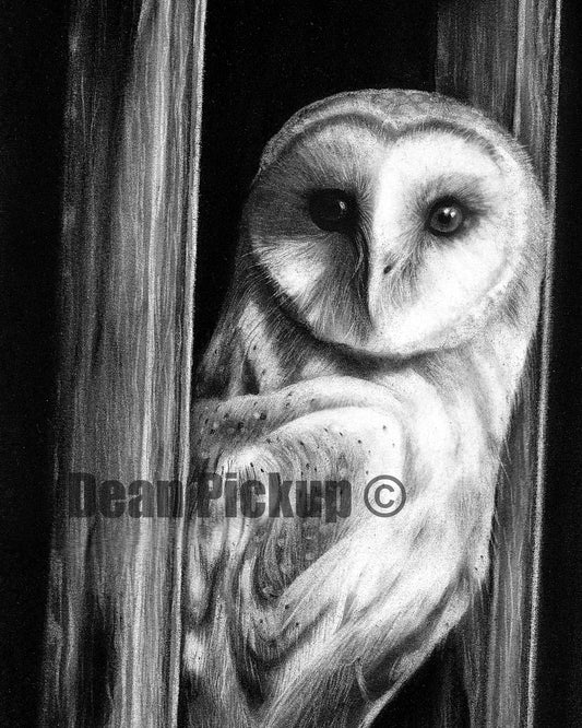 Detail of The Visitor, fine art print for sale by Dean Pickup Art