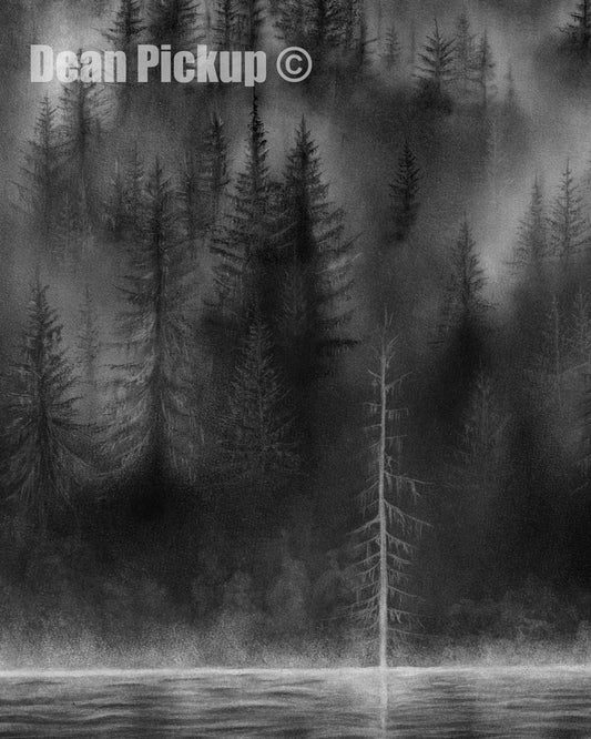 Whispering Forest, Fine Art Print - 13"x16"