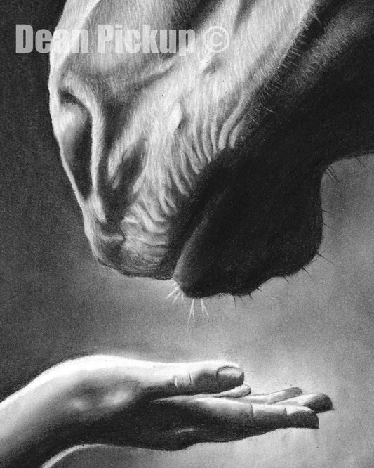 Friends In Low Places, Fine Art Print - 13"x16"