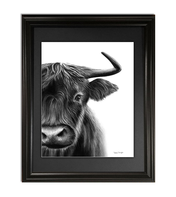 Framed sample of "Upfront", Highland Steer fine art print by Dean Pickup Art