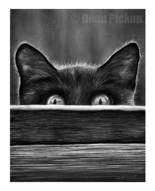 Never Alone, Cat Fine Art Print - 11"x14"