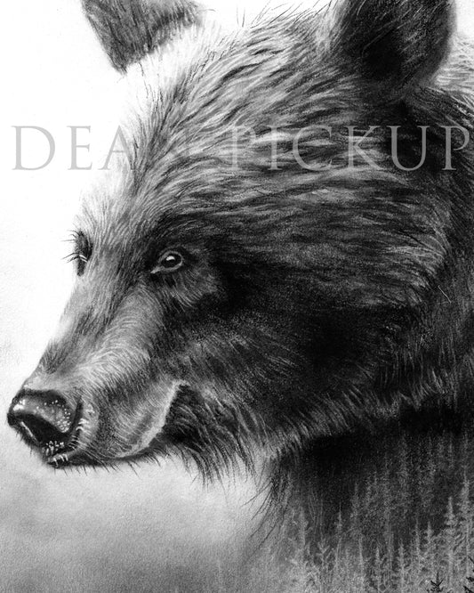 The Guardian, Grizzly Bear Fine Art Print - 11"x14"