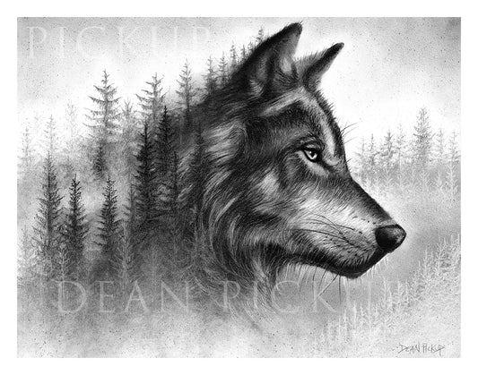 "untamed" fine art wolf and forest 