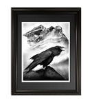 The Rock and the Feather,  Fine Art Print - 13"x16"