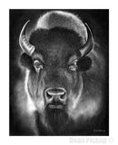 "Vanishing" Limited Edition Bison Fine Art Print for sale. Dean Pickup Art