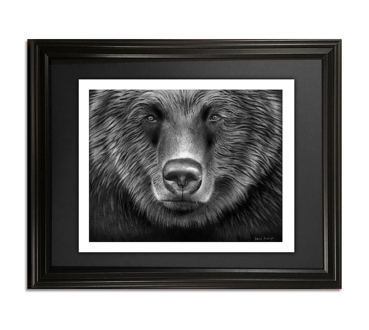 Sample of framed Grizzly print for sale by Dean Pickup
