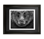 Sample of framed Grizzly print for sale by Dean Pickup