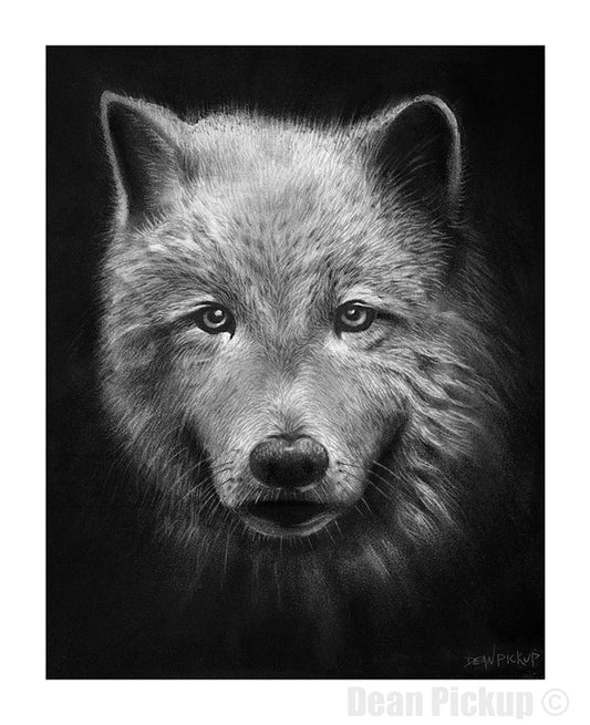 "The Lone Wolf" Fine Art Print for sale. Dean Pickup Art