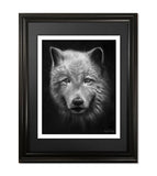 The Lone Wolf, Fine Art Print - 13"x16"