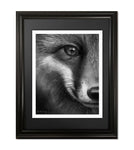 Mischief, Fox Fine Art Print - 13"x16"