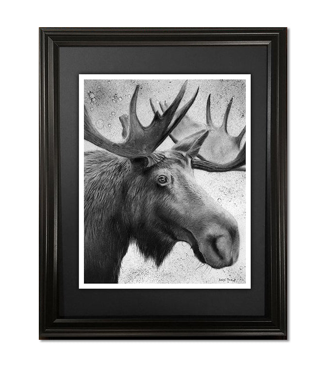 The Recluse, Moose Fine Art Print - 13"x16"