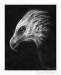 "Given To Fly" Eagle Fine Art Print for sale by Dean Pickup Art