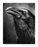Raven Fine Art Print for sale by Dean Pickup Art