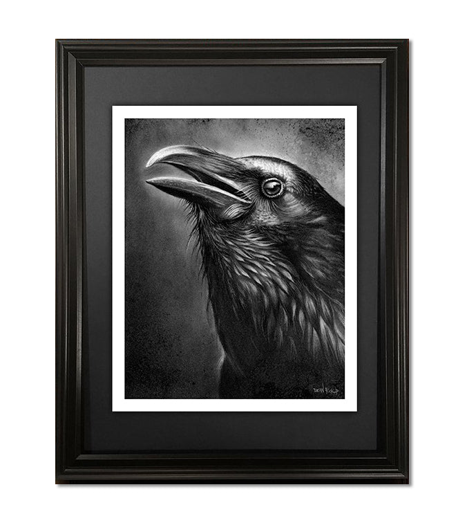 Raven, Fine Art Print - 13"x16"