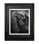 Raven Fine Art Print - 13"x16"