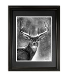 The Visitor, fine art print in frame by Dean Pickup Art