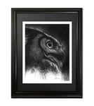 The Hunter, Great Horned Owl Fine Art Print - 13"x16"