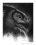 "The Hunter" Great Horned Owl Fine Art Print for sale. Dean Pickup Art