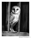 The Visitor, fine art print for sale by Dean Pickup Art