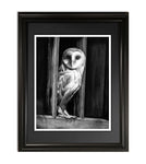 The Visitor, fine art print in frame by Dean Pickup Art