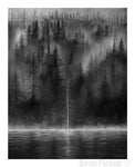 "Whispering Forest" fine art print by Dean Pickup